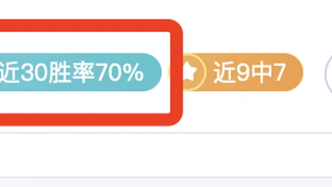 周一004英超推荐：布伦特福德对阵狼队分析